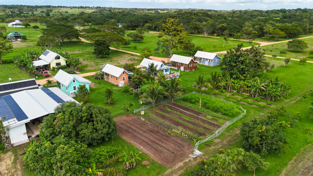 Gardening in Belize