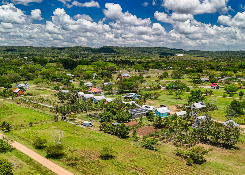 Carmelita Gardens Green Space